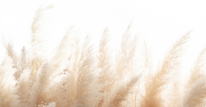 Concussion Clinic - Medical