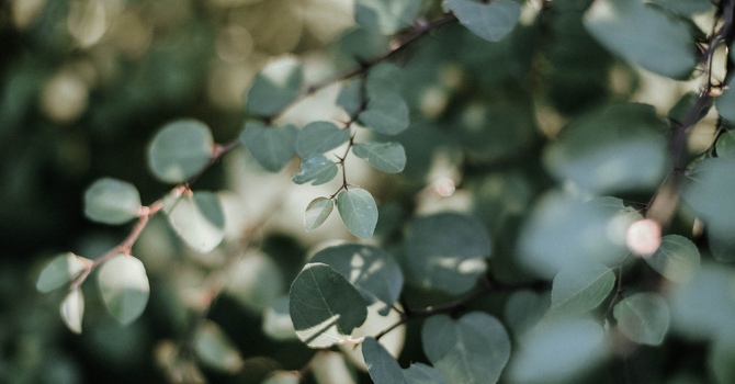 Concussion Physiotherapy